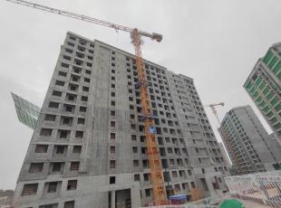 【重点项目建设】西安高新·绣岭芳居项目4栋住宅楼全面封顶